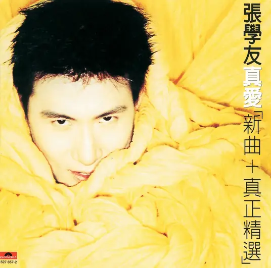 I Kept Waiting Till the Flowers Died我等到花儿也谢了(Wo Deng Dao Hua Er Ye Xie Le) By Jacky Cheung张学友