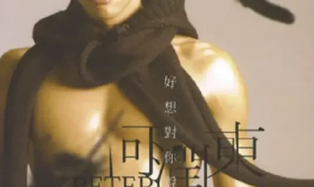 Flying Together双飞(Shuang Fei) Butterfly Lovers 2007 OST By Peter Ho何润东