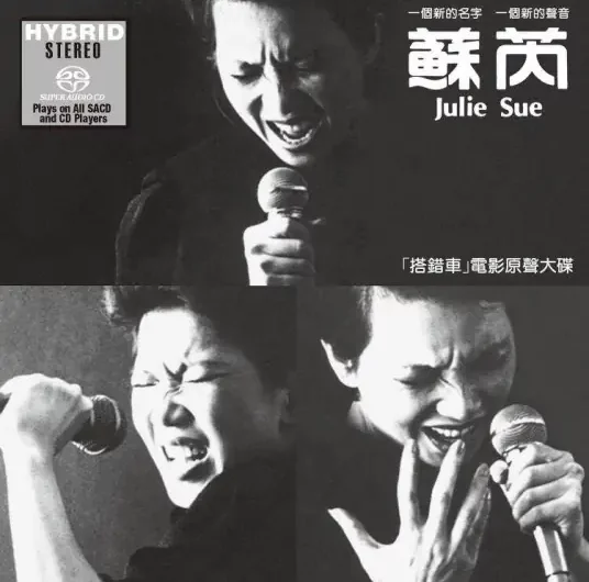 Same Moonlight一样的月光(Yi Yang De Yue Guang) Papa, Can You Hear Me Sing OST By Su Rui苏芮