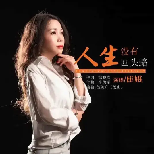 No Turning Back in Life人生没有回头路(Ren Sheng Mei You Hui Tou Lu) By Tian E田娥