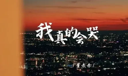 I Really Will Cry我真的会哭(Wo Zhen De Hui Ku) By Wang Yijia王一佳