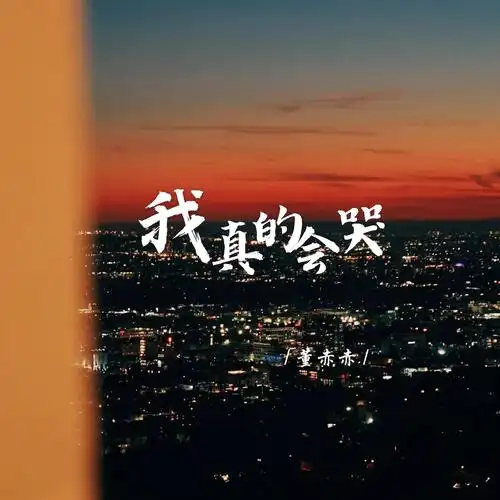 I Really Will Cry我真的会哭(Wo Zhen De Hui Ku) By Wang Yijia王一佳