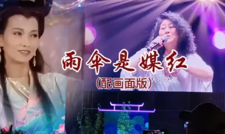 The Umbrella is the Matchmaker雨伞是媒红(Yu San Shi Mei Hong) New Legend of Madame White Snake OST By Zhuang Huiru庄慧茹