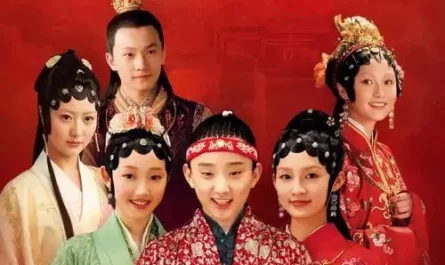Birds Seeking Their Woods飞鸟各投林(Fei Niao Ge Tou Lin) The Dream of Red Mansions 2010 OST By Lin Yushen林雨申