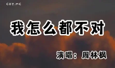 Nothing I Do Is Ever Right我怎么都不对(Wo Zen Me Dou Bu Dui) By Zhou Linfeng周林枫
