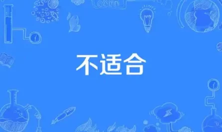 Not Worth It, Not Suitable不值得不合适(Bu Zhi De Bu He Shi) By Cheng Huan承桓