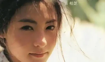 Wish Upon A Star星语心愿(Xing Yu Xin Yuan) Fly Me to Polaris OST By Cecilia Cheung张柏芝