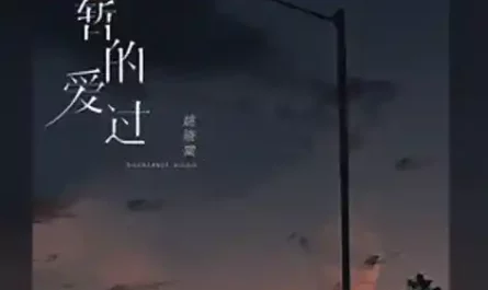 Loved for a Short Time短暂的爱过(Duan Zan De Ai) By Yao Xiaotang姚晓棠