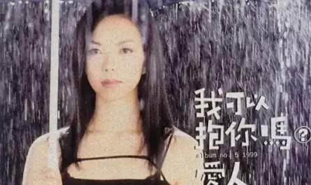 Can I Hug You, Lover?我可以抱你吗(Wo Ke Yi Bao Ni Ma) By A-Mei张惠妹