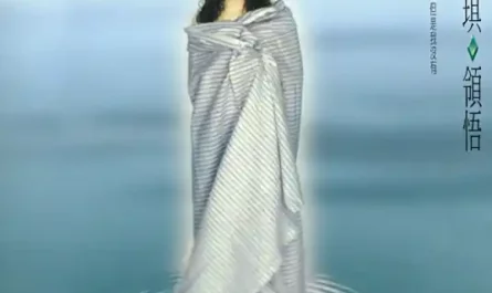Try To Forget俩俩相忘(Liang Liang Xiang Wang) Heavenly Sword and Dragon Saber (1994) OST By Winnie Hsin辛晓琪