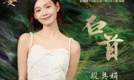 Till Old Age白首(Bai Shou) Shadow Love OST By Clare Duan Aojuan段奥娟