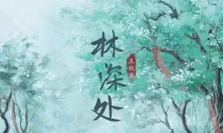 Deep in the Forest林深处(Lin Shen Chu) Hard to Find OST By Wang Qiushi王秋实