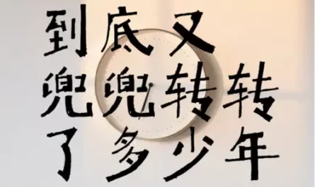 Going Around in Circles兜兜转转(Dou Dou Zhuan Zhuan) By Xiao Jing Dong小京东